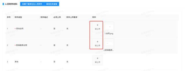 高校毕业生等群体可申请社保补贴 每月享25%补贴