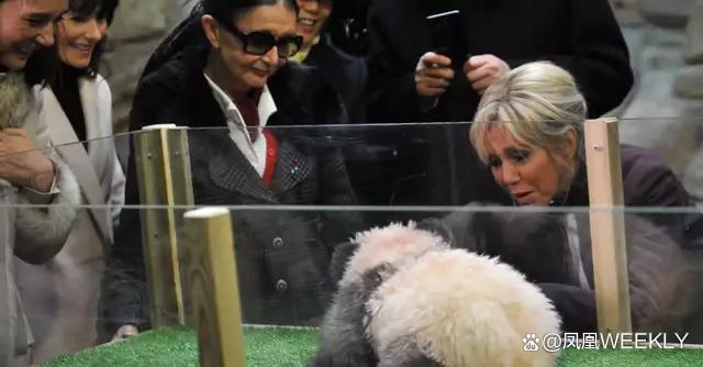 媒体：马克龙四访中国意在“平衡” 深化中法多领域合作