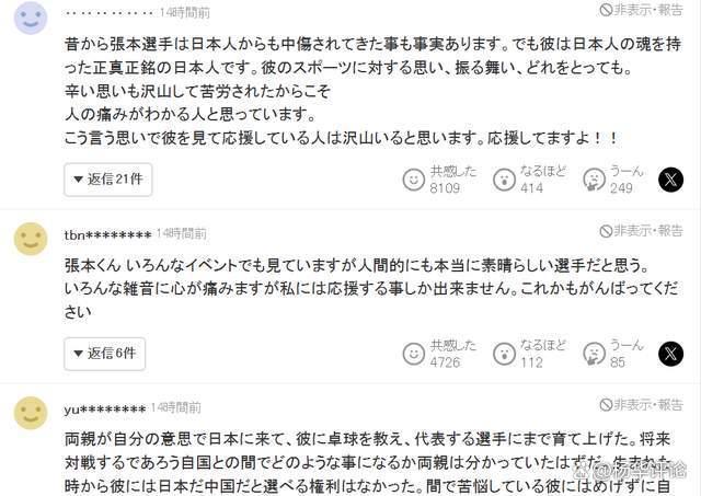 日本球迷表示理解张本智和两边受气的痛苦：请日乒协给他心理保护 理解与支持涌现