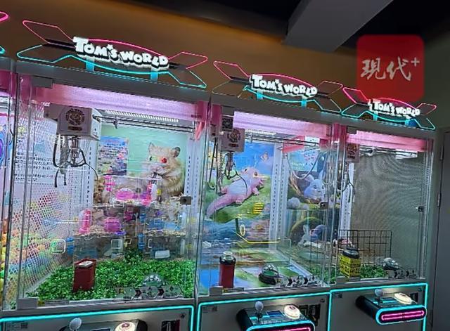 商场回应放置活物娃娃机已撤离 动物转至办公区饲养