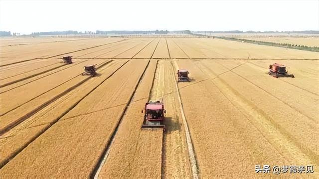 中国500公斤人均粮的安全感从哪来 稳产增效的密码