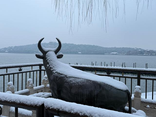 北京：京城普降大雪，今天白天仍有间歇性小雪 积雪影响早高峰出行