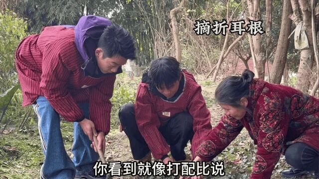 从顶流到黄毛:过气天王,已成农民 明星下乡元年