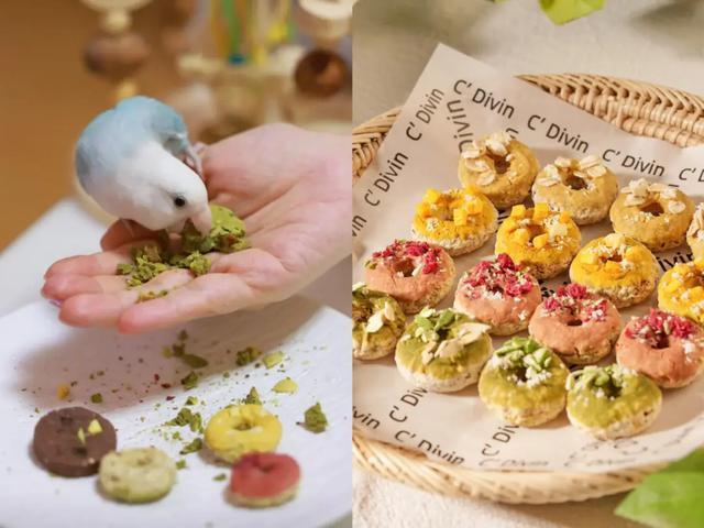 女孩们捧红“鸟鸟教” 催熟百亿市场 她经济引领变革