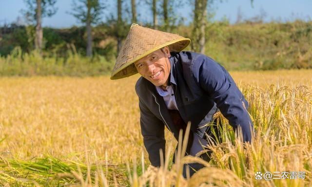 农民交的公粮就等于交了社保:时代的红章