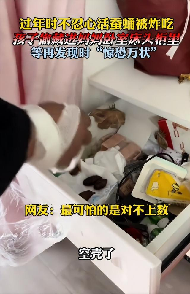 男孩救下蚕蛹20天后变蛾吓懵全家 意外惊喜引发家庭趣事