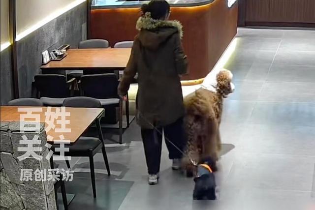 拒绝携犬就餐遭差评：它曾生活在皇宫，餐饮店无奈回应