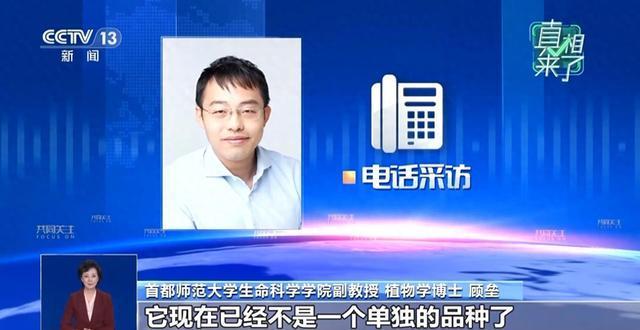 香蕉可能会灭绝?专家解答