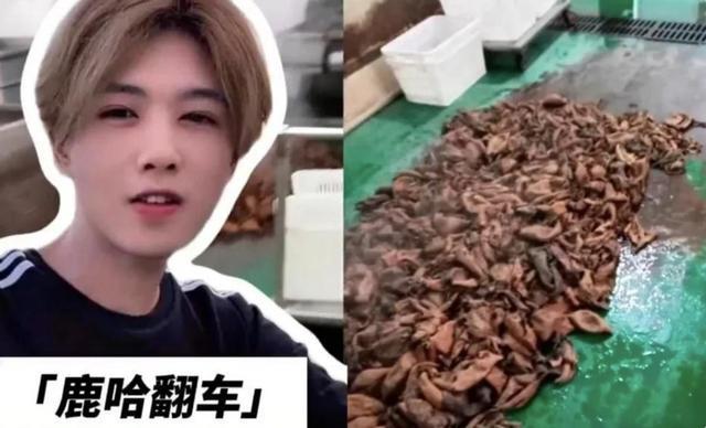 鹿哈方回应赔偿26.9亿:仅卖出8万单 带货翻车引争议