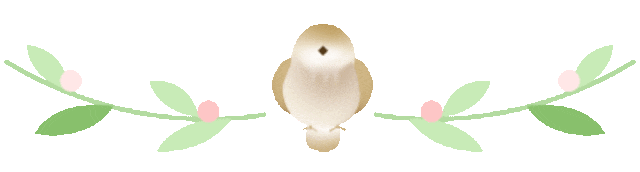 伊朗强调绝无可能被敌对势力击败 计划最强硬反击