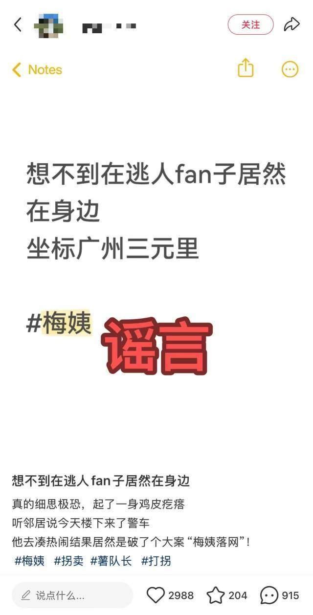 梅姨在广州三元里落网?警方辟谣