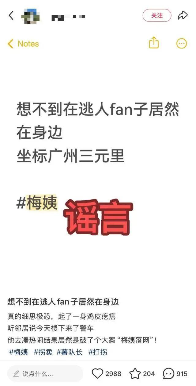 梅姨在广州三元里落网为不实消息