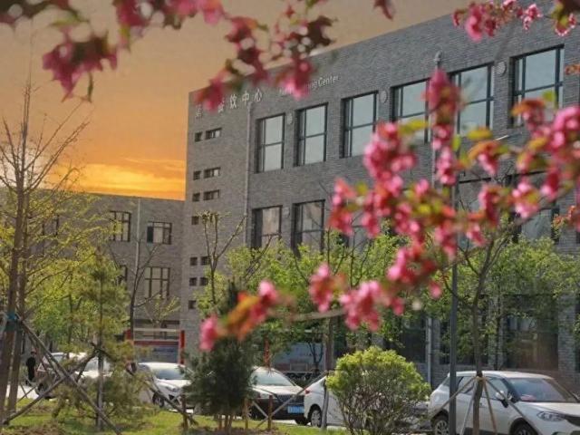 2026高考你看好哪个热门专业