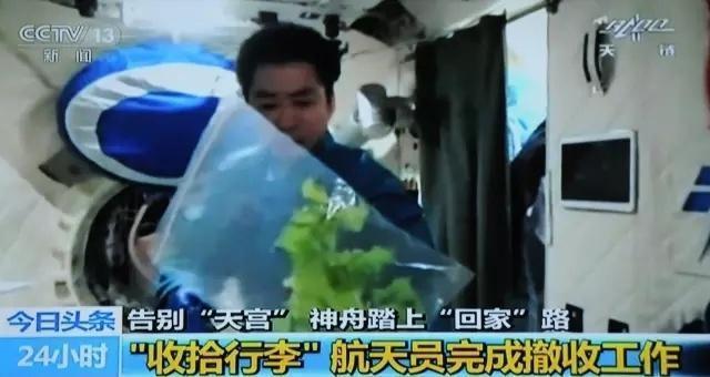 航天员为啥要在太空当“菜农” 生命保障与科研探索