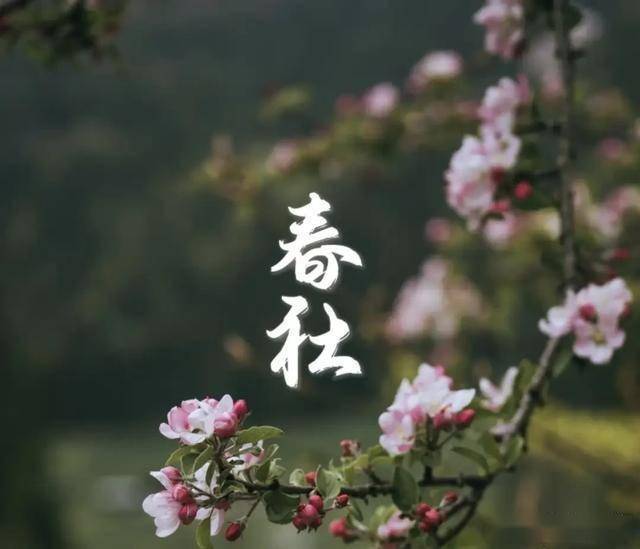 今日“春社”:1不洗、2不烧、3要忌 传统习俗知多少