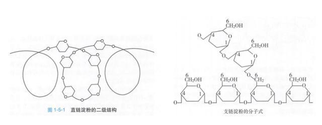 警惕！这 7 种食物不甜却让你血糖飙升，很多人经常吃