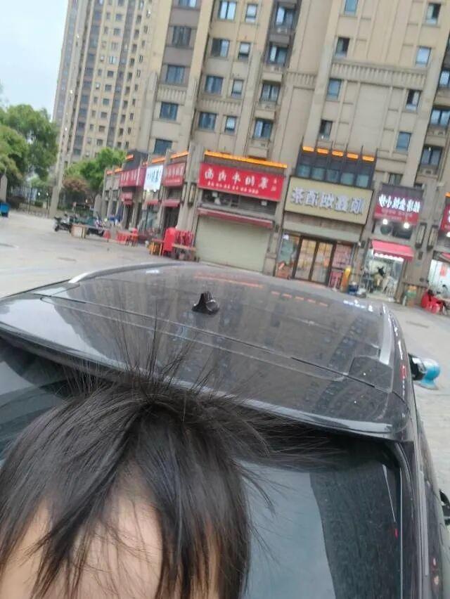 街道回应市民过斑马线头发会竖起