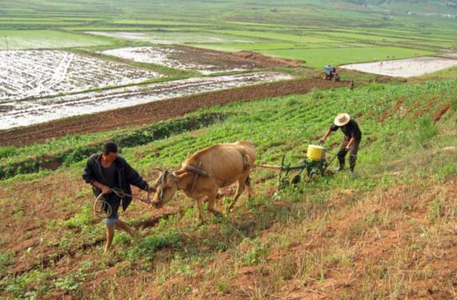王毅同朝鲜外相会谈 探讨半岛局势与合作