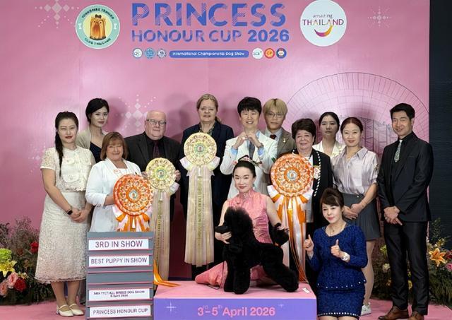 媒体：霍思燕再破天花板 转型牵犬师闪耀国际赛场