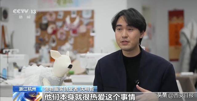 青年群体在这些领域“创”出新赛道 政策助力创业潮