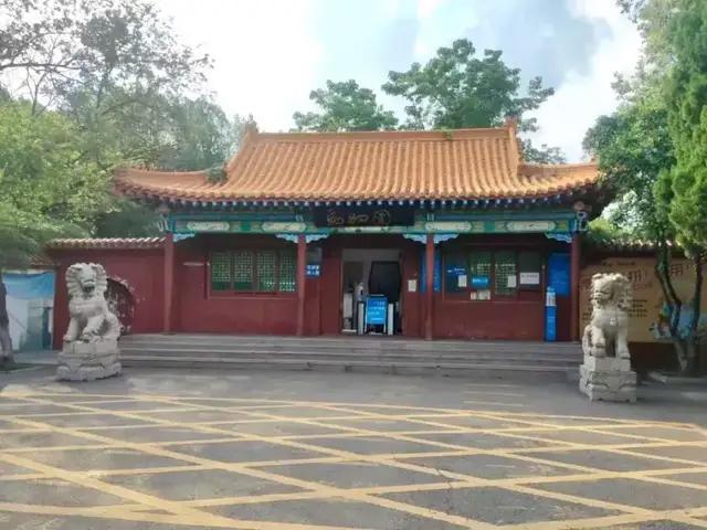 动物园的狼见人就“作揖”讨食