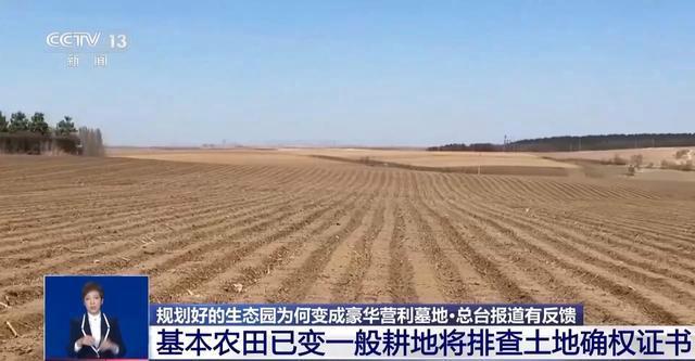 生态园变豪华墓地 吉林派工作组核查 多部门介入调查处置