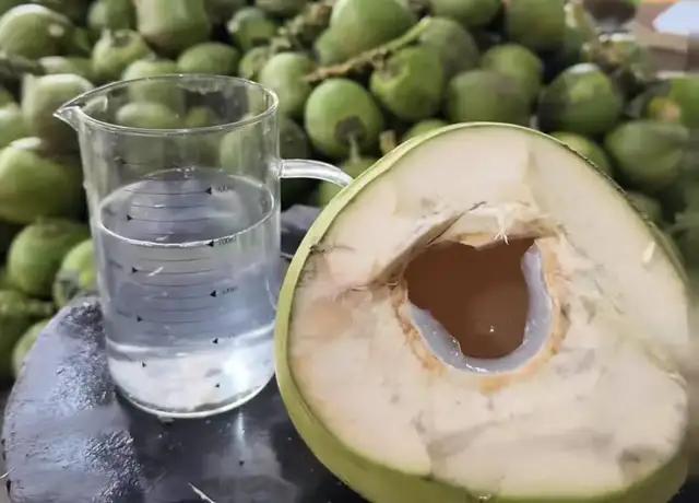 一瓶100%椰子水到底还能不能信任 低价背后的真相