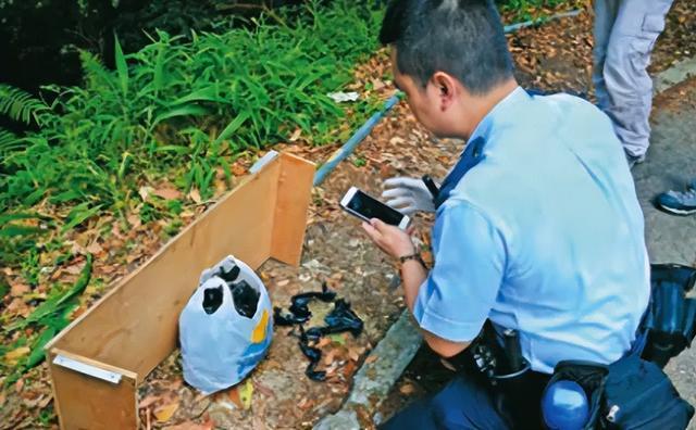 香港针织大王孙女绑架案细节 警方艰难破案