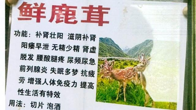 團(tuán)伙街頭“指馬為鹿”專騙老人