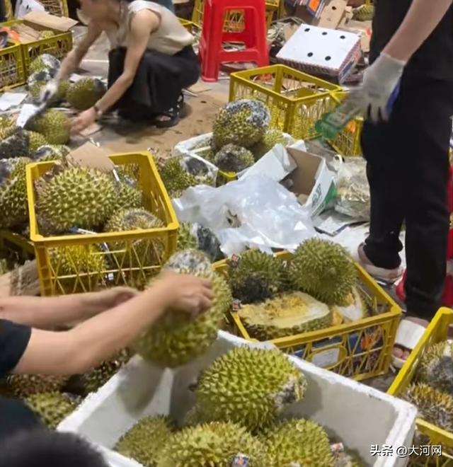 商户将发霉长毛榴莲处理后低价售卖 市监部门介入调查