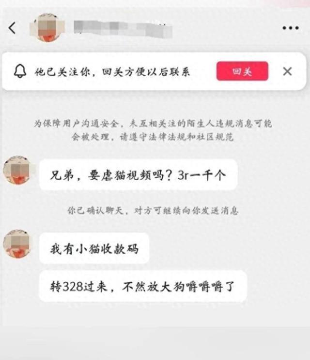 郑州大学回应学生发布虐猫图片