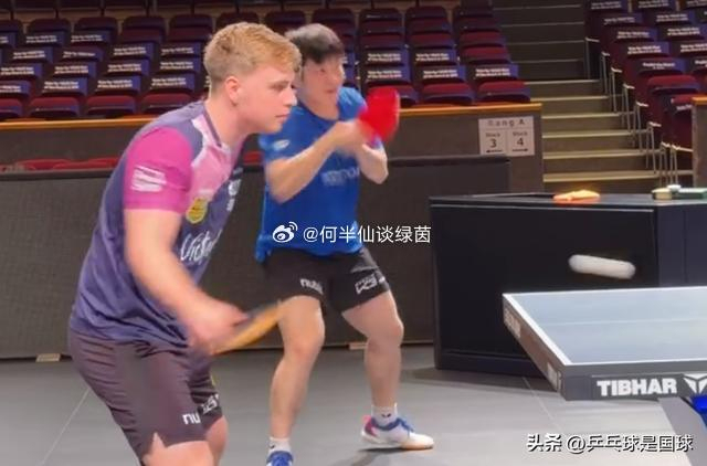 樊振东被莫雷加德又搂又抱