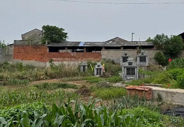 不足600人村庄62人患癌或白血病，村民：我老婆和儿媳都得了白血病