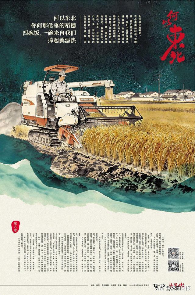 全国每四碗饭就有一碗来自东北黑土地 稳稳托起国家的饭碗