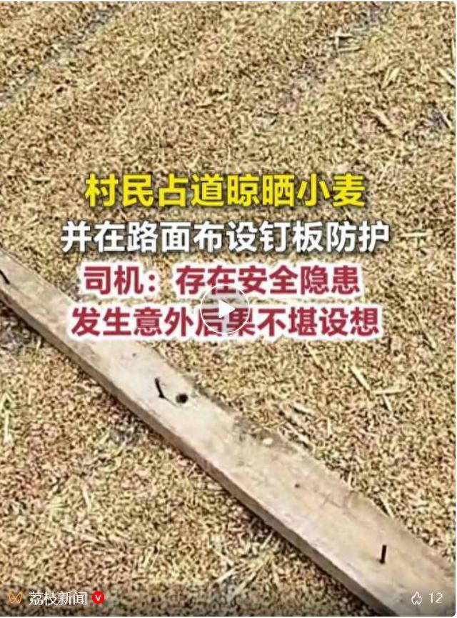 村民占用公路晾晒小麦竟摆放带钉木板