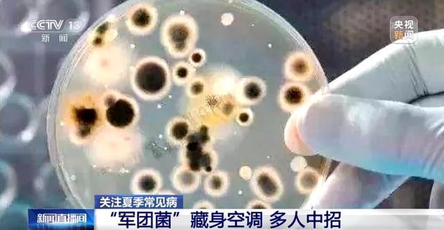 78岁老人开空调过夜肺变白了 警惕军团菌感染