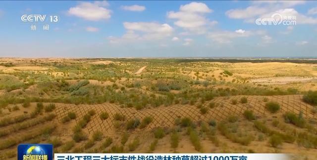 “全球最热百城”超六成在印度 高温下的生存挑战