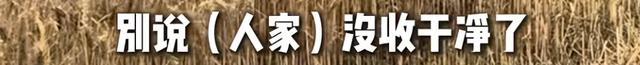 河南礦山再發(fā)520萬(wàn)“三夏”紅包 連續(xù)20多年關(guān)愛員工