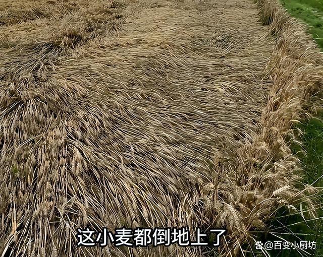 割四赔五乱象 善意援手反遭讹诈风波