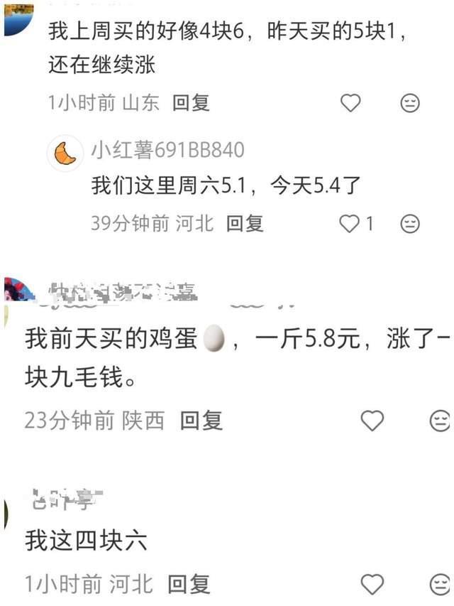 雞蛋價格已突破5元關(guān)口 多地零售價持續(xù)攀升