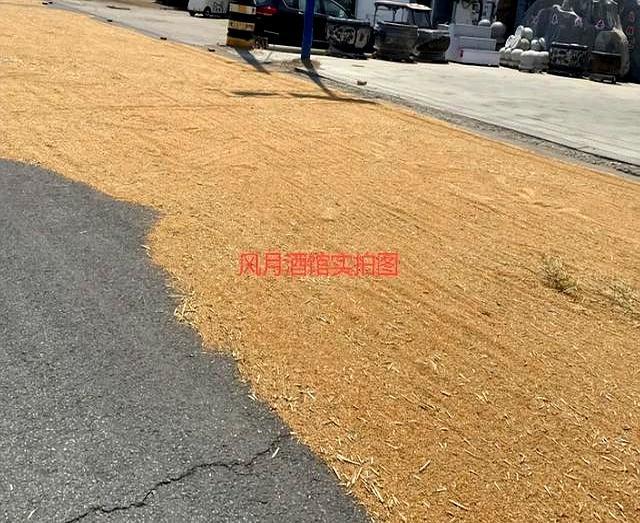 外地農(nóng)機手在河南鄢陵收麥吃喝不愁 熱情待客暖人心