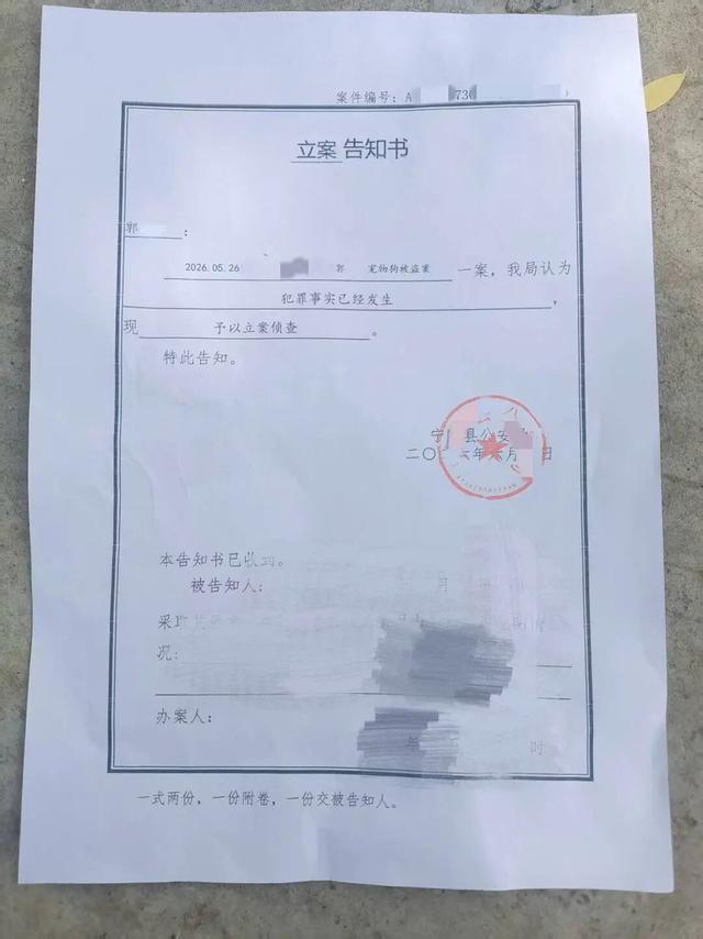 被轉(zhuǎn)賣宰殺邊牧主人最新發(fā)聲 警方已立案偵查
