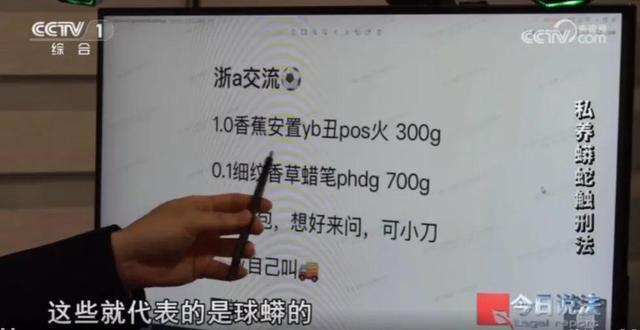 男子在小区里养300多条蟒蛇 非法饲养引发关注