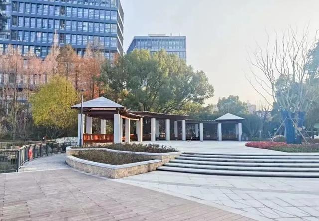 节气里的普陀：夏至风渐盛，万物向阳生