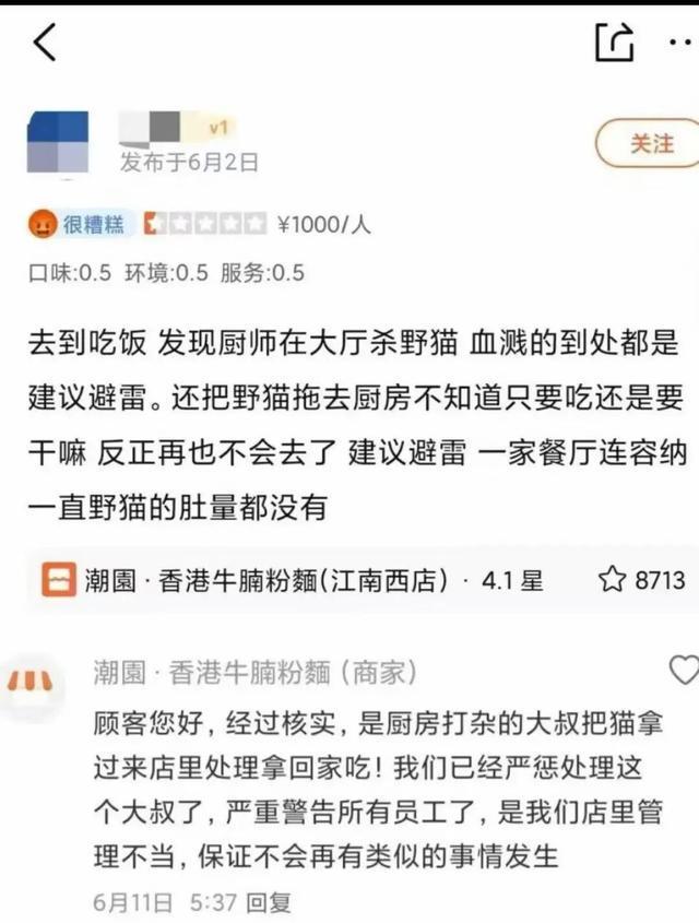 食客就餐撞见餐厅宰杀野猫 店内冷清无人问津