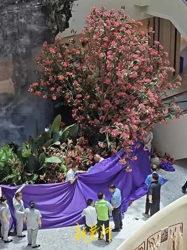赛格坠亡商户曾给朋友发“好好活着” 生前饱受抑郁困扰