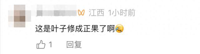 自家种的黄瓜上长出一片叶子，当事人：已吃掉，是一样的黄瓜味