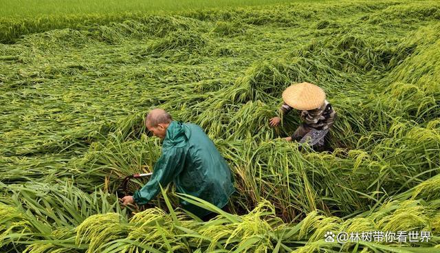 广西一镇一天下了北京一年的雨 暴雨引发多地警戒