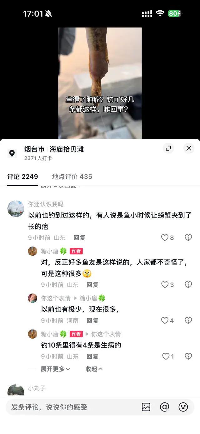 海钓10条鱼4条有病 当地渔业部门发声 或因水温升高引发病害