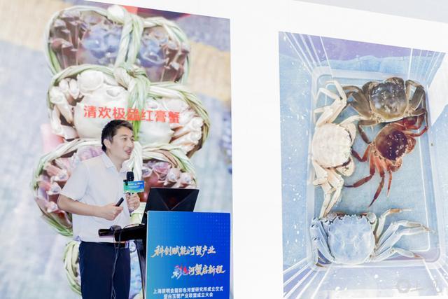 上海教授选育出彩色大闸蟹 开启河蟹“彩色”新时代